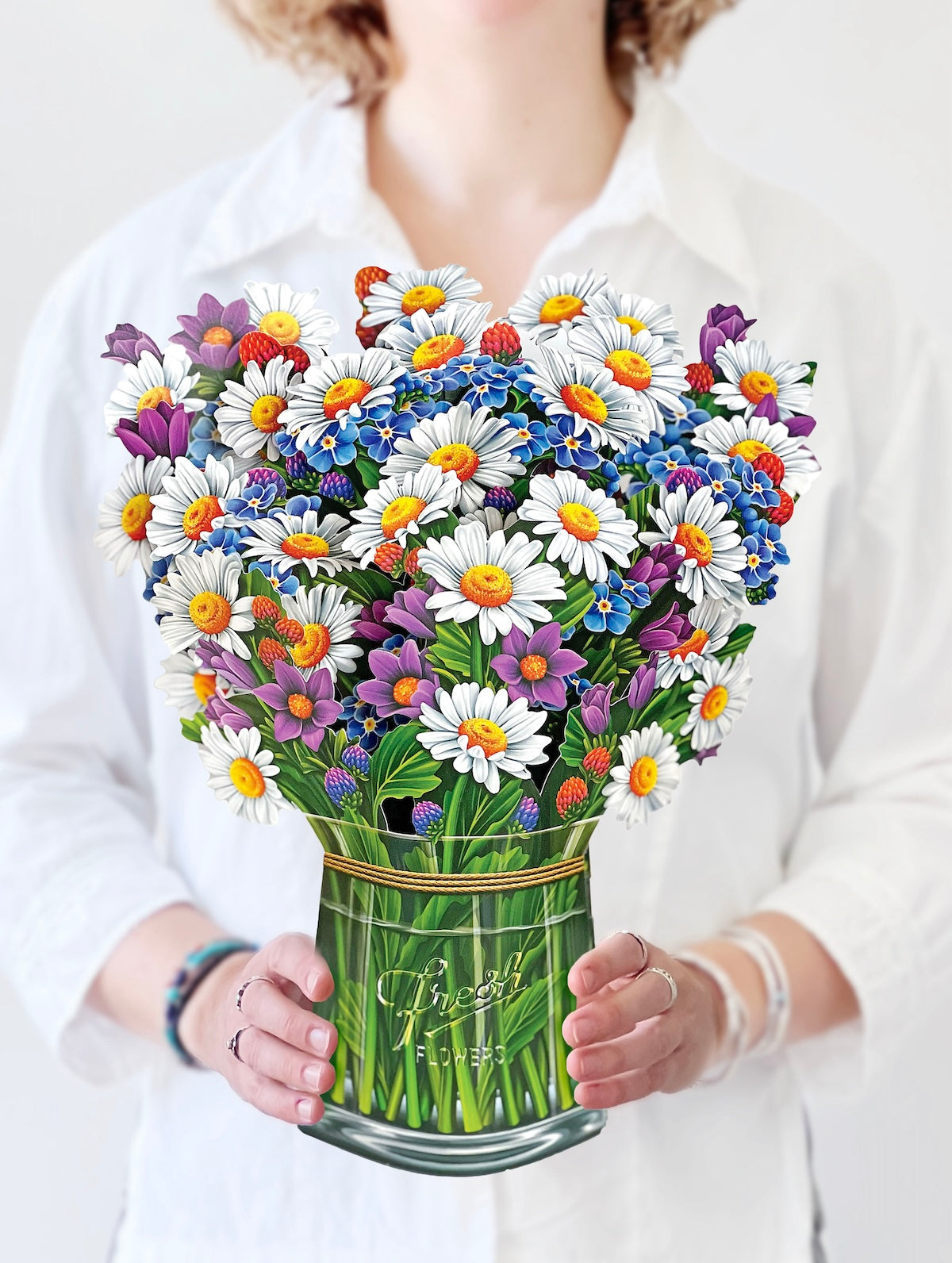 Field of Daisies